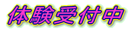 �̌���t��