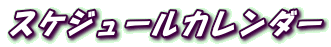 �X�P�W���[���J�����_�[